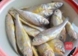 香煎小黄花鱼的做法图解1