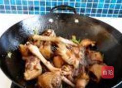 笨鸡炖虎皮鹌鹑蛋的做法图解11