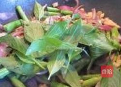 九层塔炒鸡肉芦笋的做法图解7