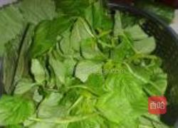 苏子叶咸菜的做法图解1
