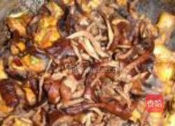 东北小鸡炖蘑菇的做法图解9