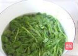 炝拌苜蓿的做法图解2
