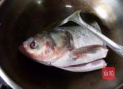 鱼头豆腐枸杞浓汤的做法图解2
