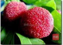 杨梅酱的做法图解1