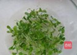 香椿苗豆卷的做法图解1