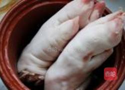 紫砂锅煲雪豆猪蹄汤的做法图解1