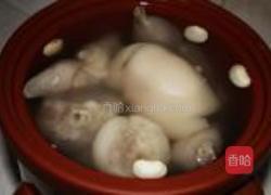 紫砂锅煲雪豆猪蹄汤的做法图解3