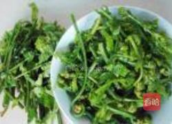 蕃茄炒水蕨菜的做法图解2