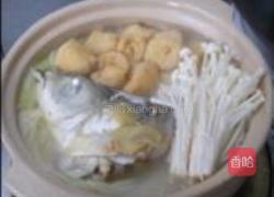 沙锅鱼头煲的做法图解6
