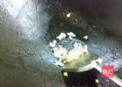 银鱼干蛋炒饭的做法图解3