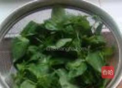 凉拌荆芥的做法图解1