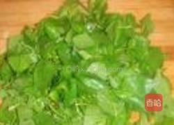 凉拌荆芥的做法图解4
