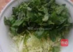 凉拌荆芥的做法图解5