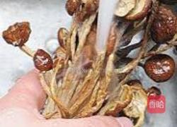 干锅茶树菇香干的做法图解2