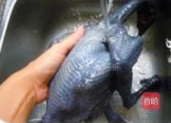 灵芝枸杞乌鸡汤的做法图解1