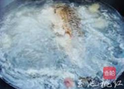 鲫鱼白菜汤的做法图解4