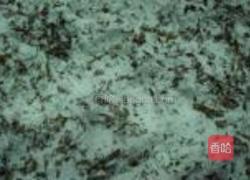 海苔花生的做法图解6