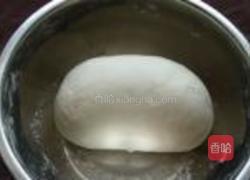 芸豆猪肉水饺的做法图解10