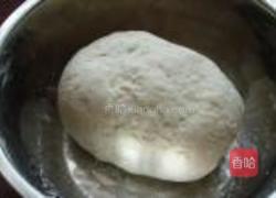 芸豆猪肉水饺的做法图解8