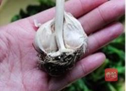 凉拌田七菜的做法图解5