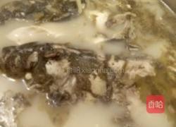 花鲢鱼头豆腐汤的做法图解4