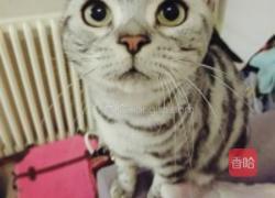 柠蜜香烤鳕鱼的做法图解2