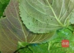 韩式腌苏子叶的做法图解1