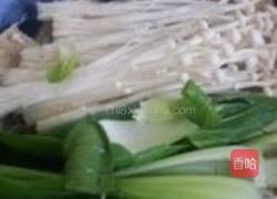 金针菇冻豆腐肥牛锅的做法图解4