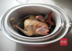 灵芝鸽子汤的做法图解3