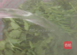 香菜拌百叶的做法图解1