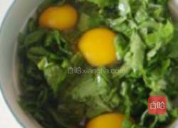 芹菜叶子炒鸡蛋的做法图解2
