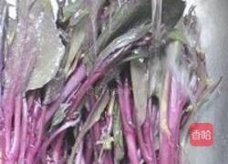 鲜嫩红菜苔的做法图解1