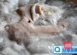 真姬菇肚片汤的做法图解2