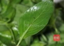 荆芥面托的做法图解1