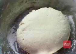 荠菜饺子的做法图解2
