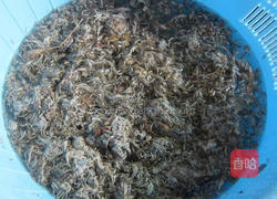绵茵陈鲫鱼汤的做法图解3