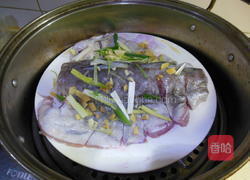 蝴蝶鳕鱼的做法图解5