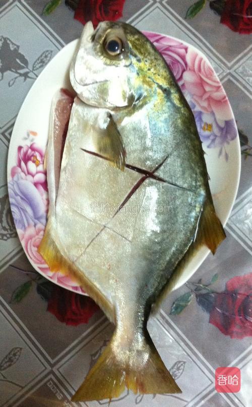 鲜活金鲳鱼去内脏,洗净,控干水,在鱼身和肚子里抹上盐,静置20分钟.