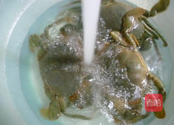清蒸青蟹的做法图解8