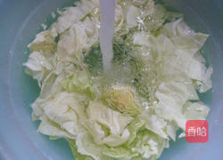 豆豉鲮鱼炒包心菜的做法图解2