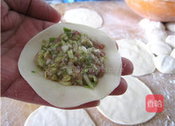 甘蓝菜水饺的做法图解9