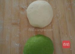 白菜小笼包的做法图解1
