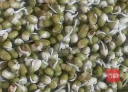 学做绿豆芽的做法图解1