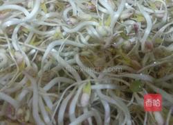 学做绿豆芽的做法图解7