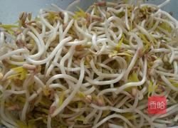 学做绿豆芽的做法图解8