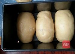 土司牛奶面包的做法图解7