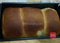 土司牛奶面包的做法图解10
