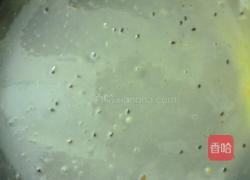 海苔蛋卷的做法图解11