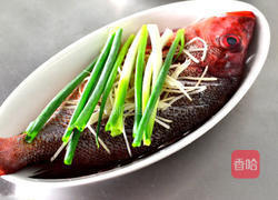 镜头阳光鲜蔬蒸鱼的做法图解1