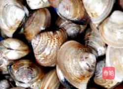 姜黄海鲜炖饭的做法图解4